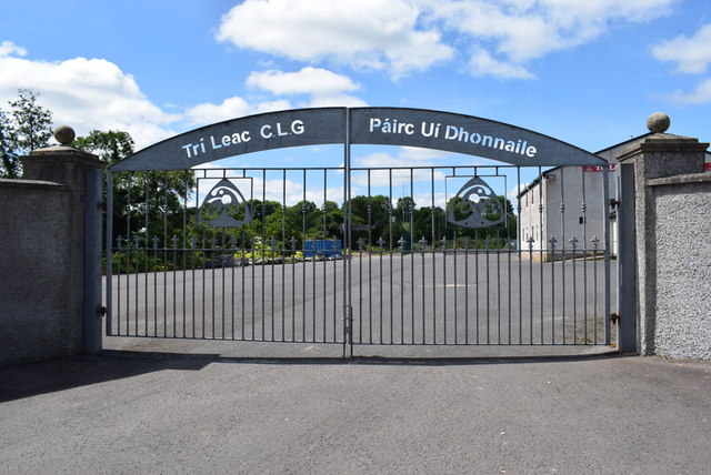 How Much Does It Cost to Automate a Gate in Kenya